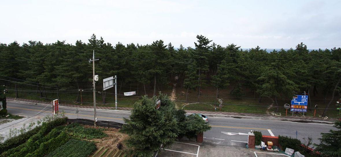 Sun Beach Hotel Gangneung Exterior photo